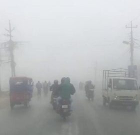 हुस्सु नफाटेपछि तरकारी खेती गर्ने किसान हैरान