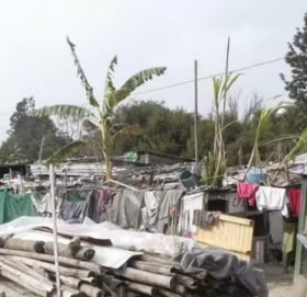 वाग्मती किनारमा बनाईएका अनधिकृत संरचना हटाइने::-वाग्मती सभ्यता आयोजना