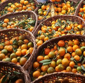 स्याङ्जामा रु ५७ करोडको सुन्तला बिक्री