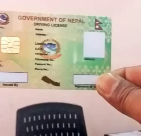 नक्कली लाइसेन्स: पत्ता लगाउने प्रविधि निर्माण, एपको सहयोगमा ट्राफिक प्रहरीले गर्नेछन् कारबाही