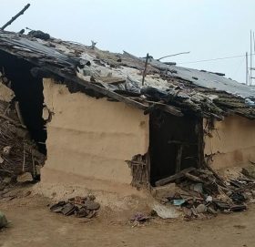 हात्तीको जहिल्यै त्रास, रोकथाममा छैन चासो