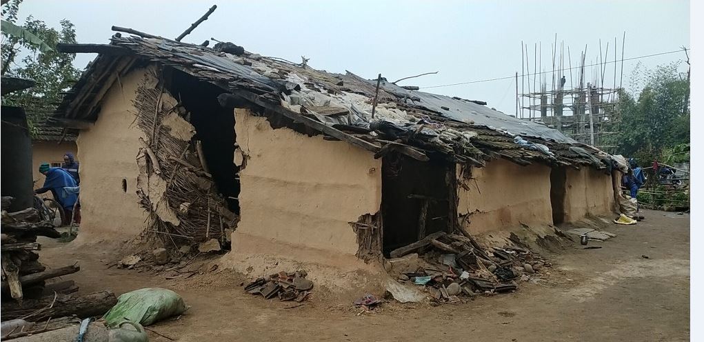 हात्तीको जहिल्यै त्रास, रोकथाममा छैन चासो