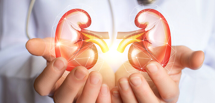 खानपानमा ध्यान दिए यसरी स्वस्थ राख्न सकिन्छ मिर्गौलाखानपानमा ध्यान दिए यसरी स्वस्थ राख्न सकिन्छ मिर्गौला