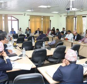 पेट्रोलियम पदार्थको मूल्य नियन्त्रण गर्न सरकारलाई संसदीय समितिको निर्देशन