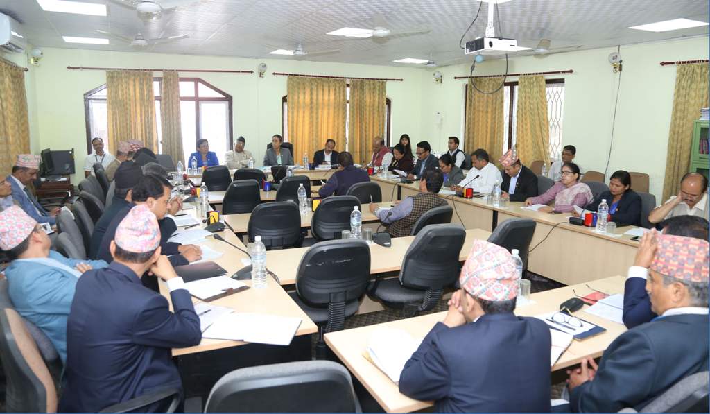 पेट्रोलियम पदार्थको मूल्य नियन्त्रण गर्न सरकारलाई संसदीय समितिको निर्देशन