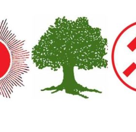 दलहरूले बढाए चुनावी गतिविधि