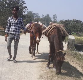 नागरिकताले गर्नु गर्‍यो, पढ्ने बेला ढुंगा कुँदायो