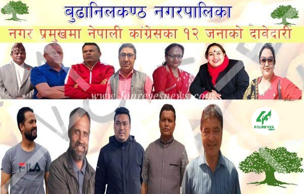 बुढानिलकण्ठ नगर प्रमुखमा १२ जनाको दावी