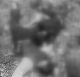 फर्पिङको जंगलमा मृत भेटिएका जोडीको पहिचान