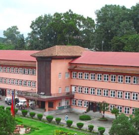 एनसेलविरुद्ध मुद्दा न्यायाधीश प्रकाशमानसिंह राउतको एकल इजलासमा