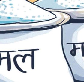 धान रोप्ने बेलामा मलको हाहाकार, उत्पादन घट्ने अनुमान