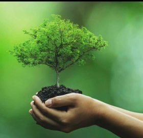 आज विश्व वातावरण दिवस : विभिन्न कार्यक्रम गरी मनाइँदै