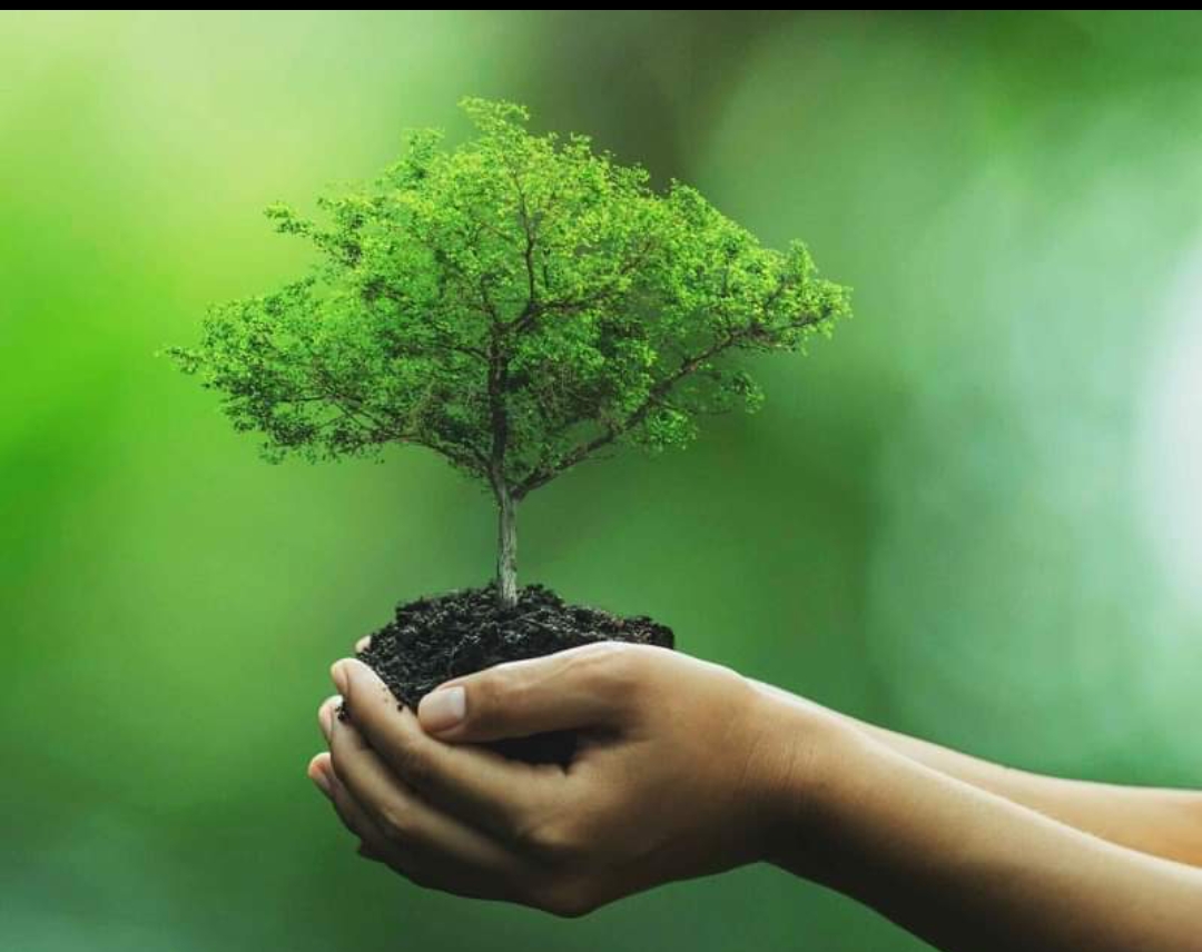 आज विश्व वातावरण दिवस : विभिन्न कार्यक्रम गरी मनाइँदै