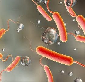 काठमाडौँ उपत्यकामा १२ जनामा हैजा देखियो