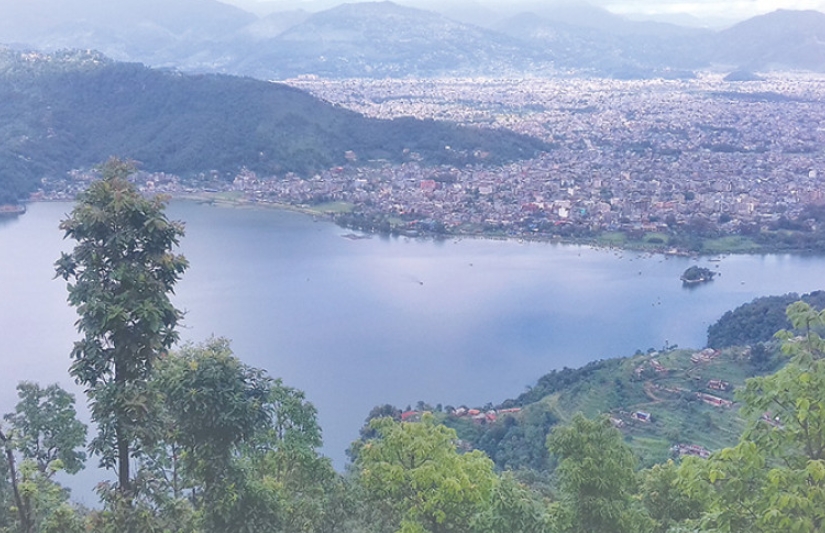 फेवातालको मापदण्ड कार्यान्वयन गर्न सर्वोच्चको रोक