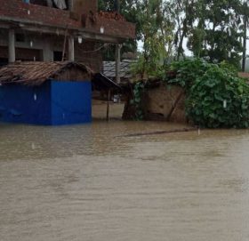 मोरङमा बाढीले बगाउँदा एक जनाको मृत्यु, १७५ परिवार विस्थापित