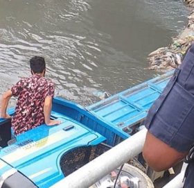 नेपालटारमा पुलबाट मिनीट्रक खोलामा खस्यो