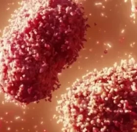 कोरोनाभाइरस पहिलो पटक उत्पत्ति भएको वुहानमा फेरि लकडाउन