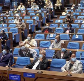 नागरिकता विधेयकमाथि विचार गरियोस् भन्ने प्रस्ताव स्वीकृत