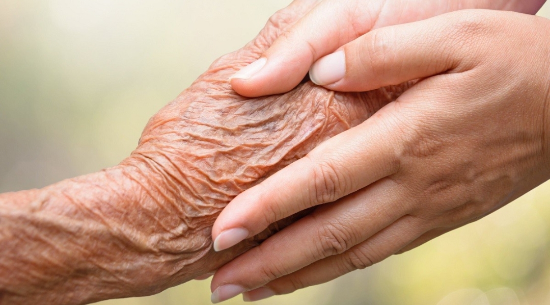 आमाबाबुको हेरचाह नगरे सम्पत्ति जफत