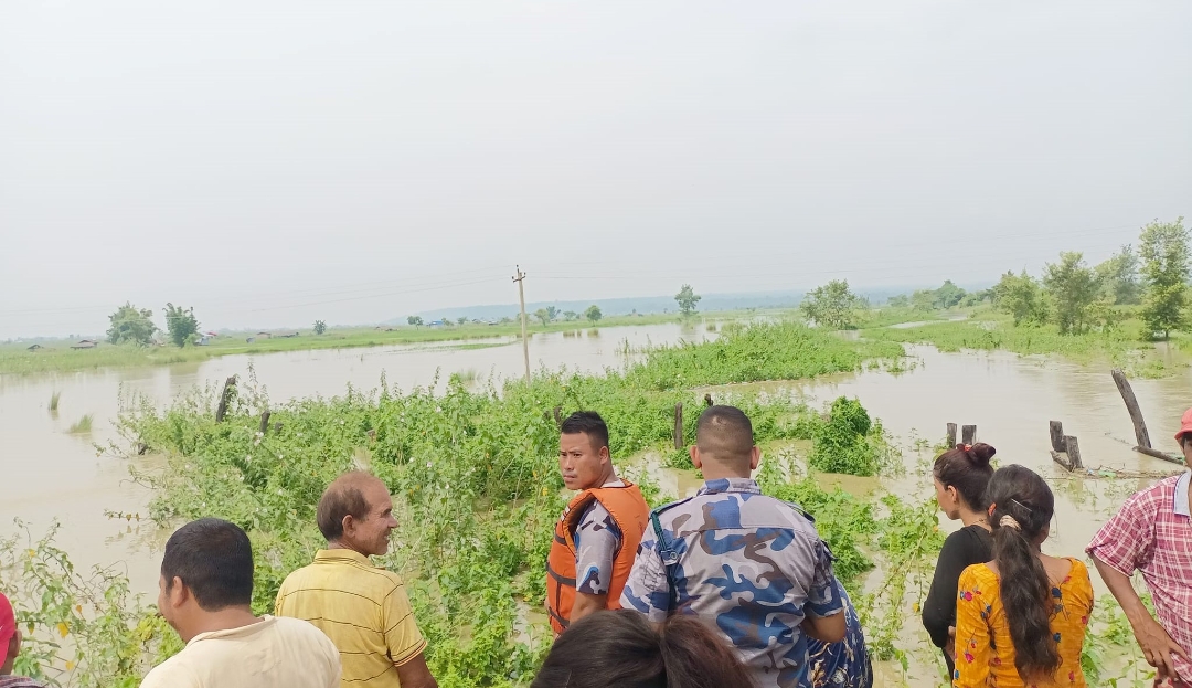 सप्तकोशी नदिको बाँध फुटेर बस्तीमा पस्यो, उद्धार कार्य जारी