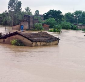 उदयपुरको डुम्रीबोटबाट कोशी मानव बस्तीमा पस्यो, पाँच बस्तीमा उच्च सतर्कता