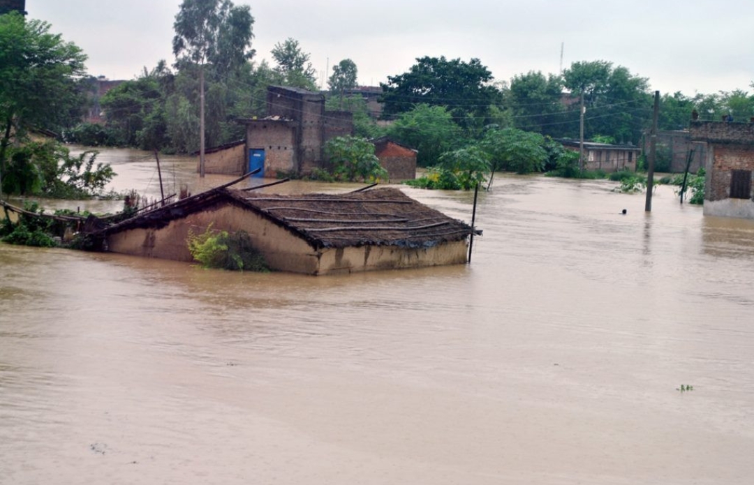 उदयपुरको डुम्रीबोटबाट कोशी मानव बस्तीमा पस्यो, पाँच बस्तीमा उच्च सतर्कता