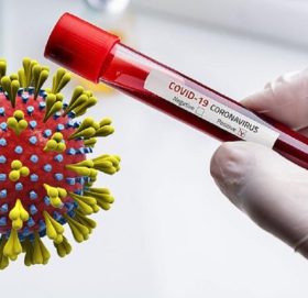 थप ५५३ जनामा कोरोना भाइरसको संक्रमण पुष्टि