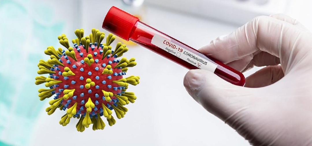 थप ५५३ जनामा कोरोना भाइरसको संक्रमण पुष्टि