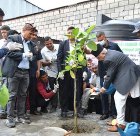 मदन भण्डारीको ७२औँ जन्मजयन्तीको अवसरमा एमाले अध्यक्ष ओलीद्वारा वृक्षरोपण