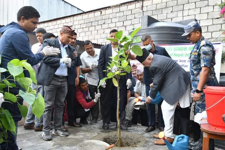 मदन भण्डारीको ७२औँ जन्मजयन्तीको अवसरमा एमाले अध्यक्ष ओलीद्वारा वृक्षरोपण