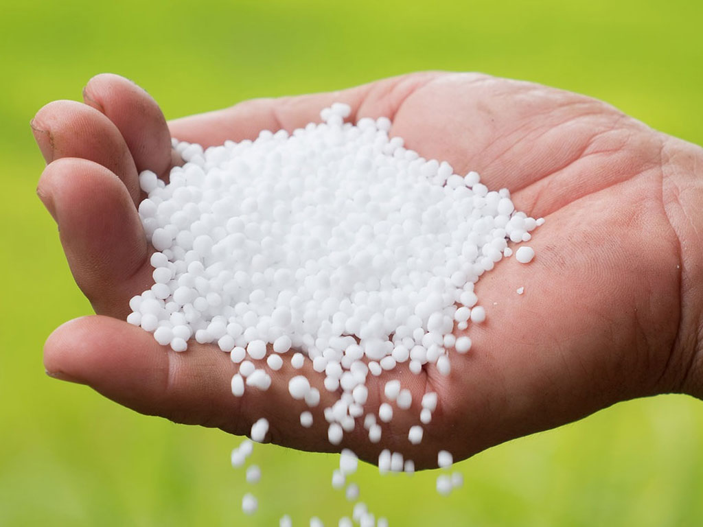 सरकारसँग ७३ हजार मेट्रिक टन मल मौज्दात, तर किसानले मल नपाएको गुनासो