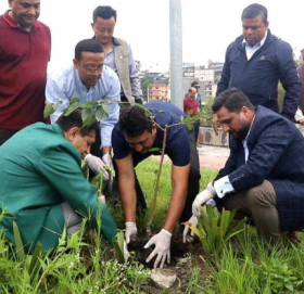 गोकर्णेश्वर नगरपालिका र पुडासैनि मैत्रि समाजको सहकार्यमा जापनिज साकुराका ६२ वटा साकुराका विरुवाहरु वृक्षारोपण