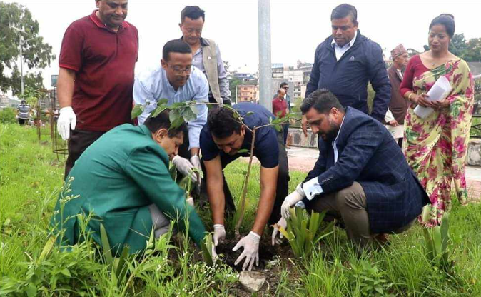 गोकर्णेश्वर नगरपालिका र पुडासैनि मैत्रि समाजको सहकार्यमा जापनिज साकुराका ६२ वटा साकुराका विरुवाहरु वृक्षारोपण