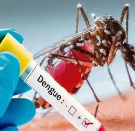 डेङ्गीको सङ्क्रमण घट्दो क्रममा तर अझै दुई महिना जोखिम : सचेत रहन विज्ञको सुझाव
