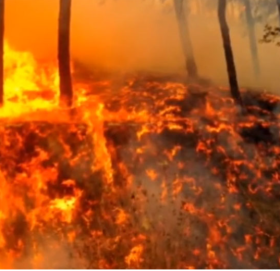 अमेरिकाको पूर्वी टेक्सासमा डढेलोले जनजीवन प्रभावित