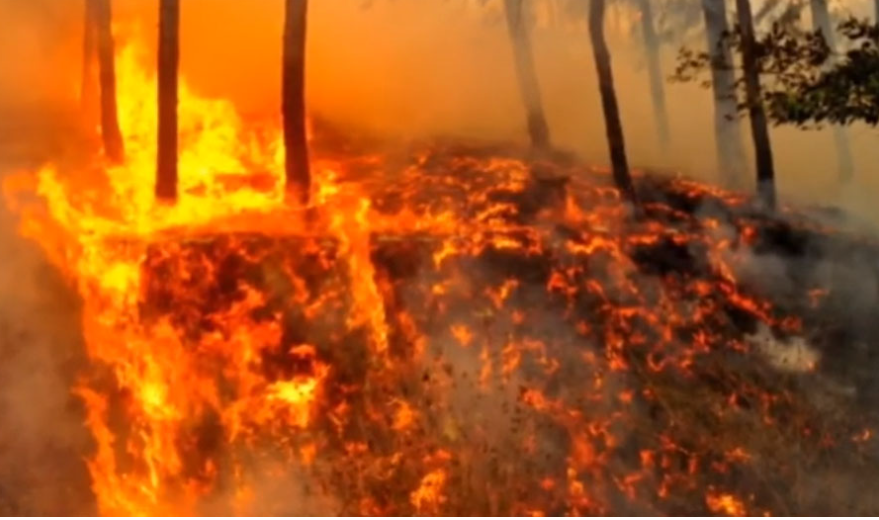 अमेरिकाको पूर्वी टेक्सासमा डढेलोले जनजीवन प्रभावित
