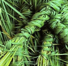 घरमा कुश भित्र्याएर कुशे औँसी मनाइँदै ,पितालाई सम्मान–भक्ति प्रकट गर्दै आज बुबाको मुख हेर्ने दिन