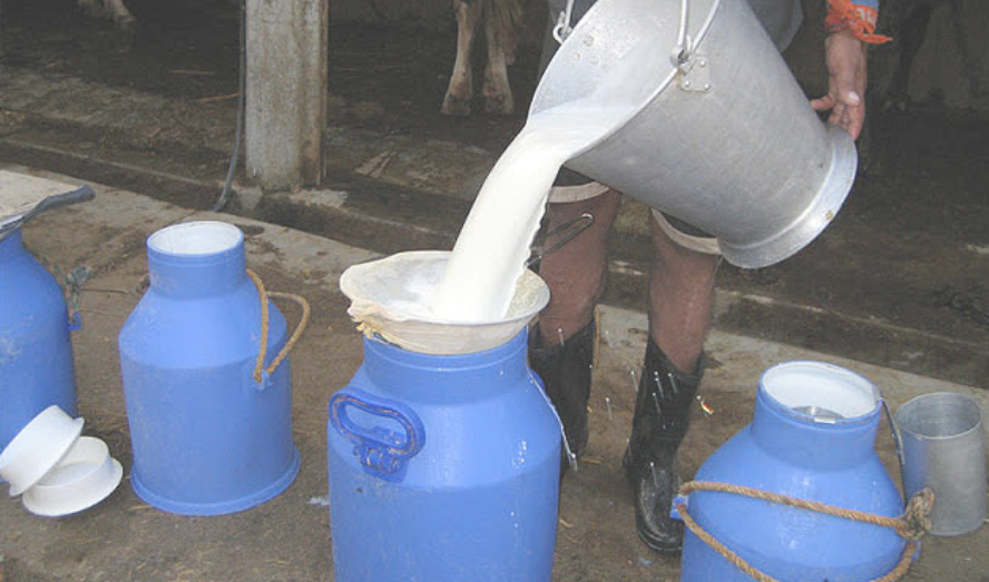 खुलारूपमा दूध तथा दूधजन्य परिकार बिक्री वितरण नगर्न महानगरको निर्देशन