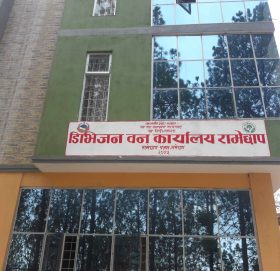 डिभिजन वन कार्यालय रामेछापले अनुमति नदिँदा किसान आफ्नै जग्गाको रुख बेच्नबाट बन्चित