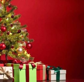 आज क्रिसमस : क्रिश्चियन धर्मावलम्बीले धुमधामकासाथ मनाउँदै