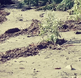 हिमताल फुटेर तिलगाउँमा पहिरो, बस्ती उच्च जोखिममा