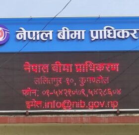 १० महिनामा साढे ८८ हजारले त्यागे बिमा