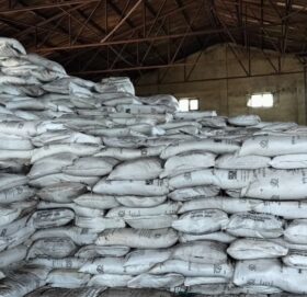 सुरु हुन थाल्यो रोपाइँ : रासायनिक मल सहजै पाउनेमा ढुक्क छैनन् किसान