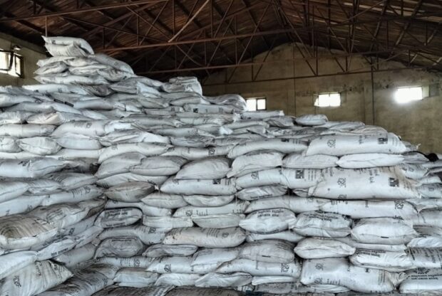 सुरु हुन थाल्यो रोपाइँ : रासायनिक मल सहजै पाउनेमा ढुक्क छैनन् किसान